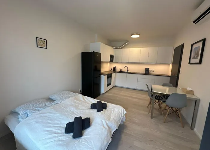 V Centru Brna U Hlavního Nádraží S Garáží Apartamento