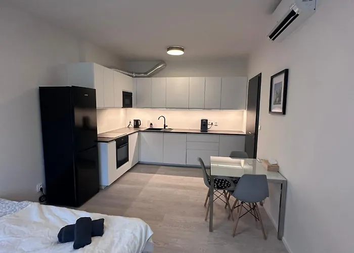 V Centru Brna U Hlavního Nádraží S Garáží Apartamento Brno