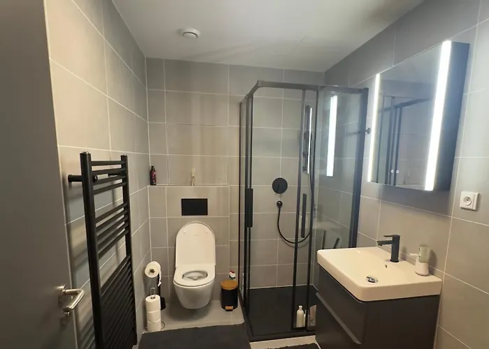 Apartamento V Centru Brna U Hlavního Nádraží S Garáží *
